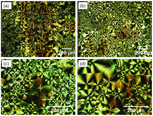 Light Microscopy of UHMWPE