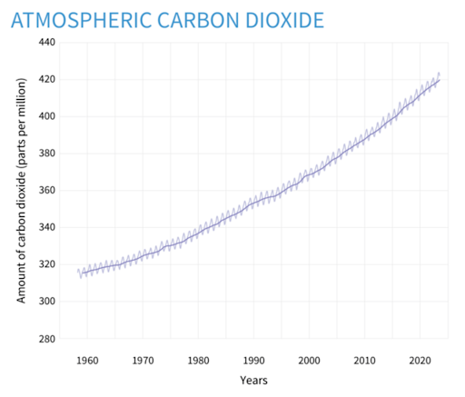 CO2 Emissions