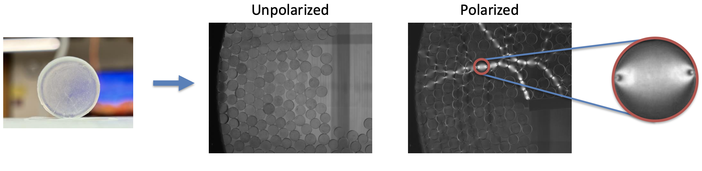 Photoelastic Particle Cover Image